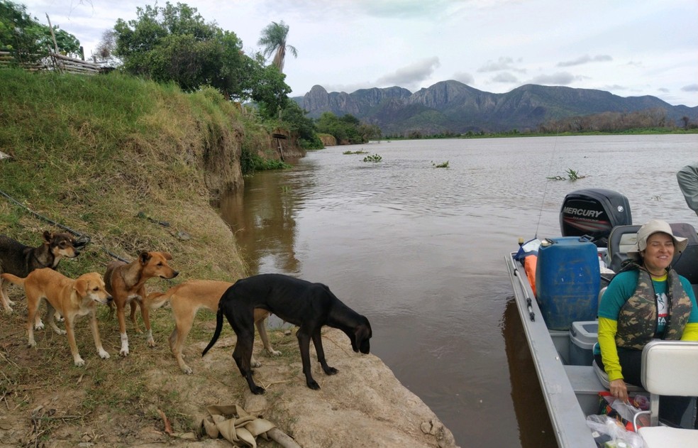 A ação está prevista para começar na sexta-feira (5) e encerrar na próxima segunda-feira (8) — Foto: É o Bicho MT