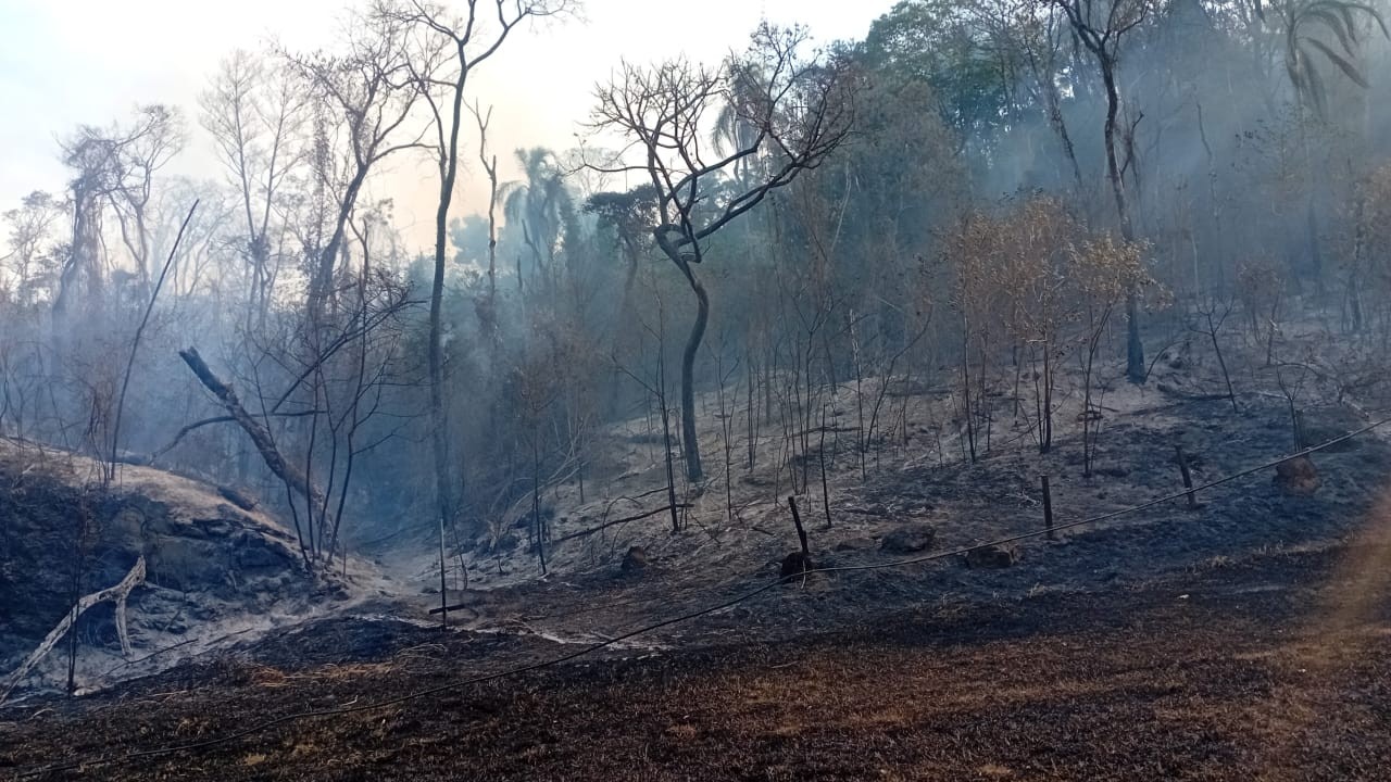 Incêndio atinge mata às margens de Rodovia Francisco Von Zuben, em Valinhos