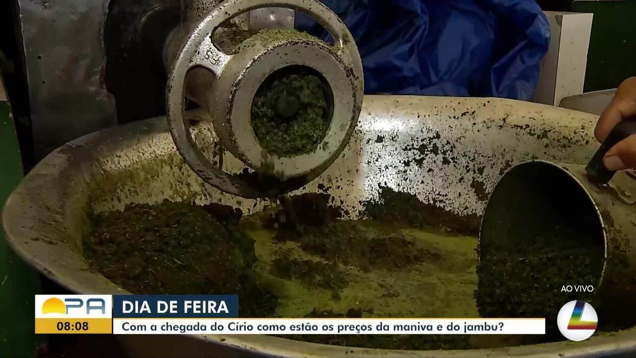 Estudantes recebem preparação para conduzir Carros de Promessas no Círio de Nazaré