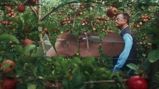 No Sul, produção de maçã economiza água com a prática do reuso - Programa: G1 BR 