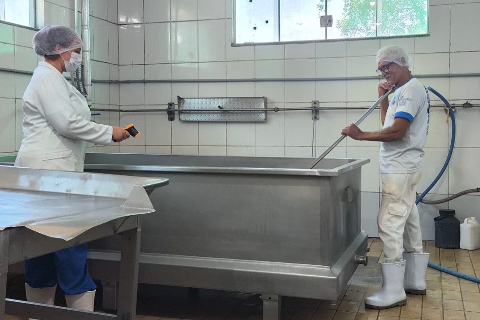 Jaqueline Calore, 33 anos, é médica veterinária e atua há cinco anos como responsável técnica na indústria de queijaria de Adamantina (SP) — Foto: Reprodução