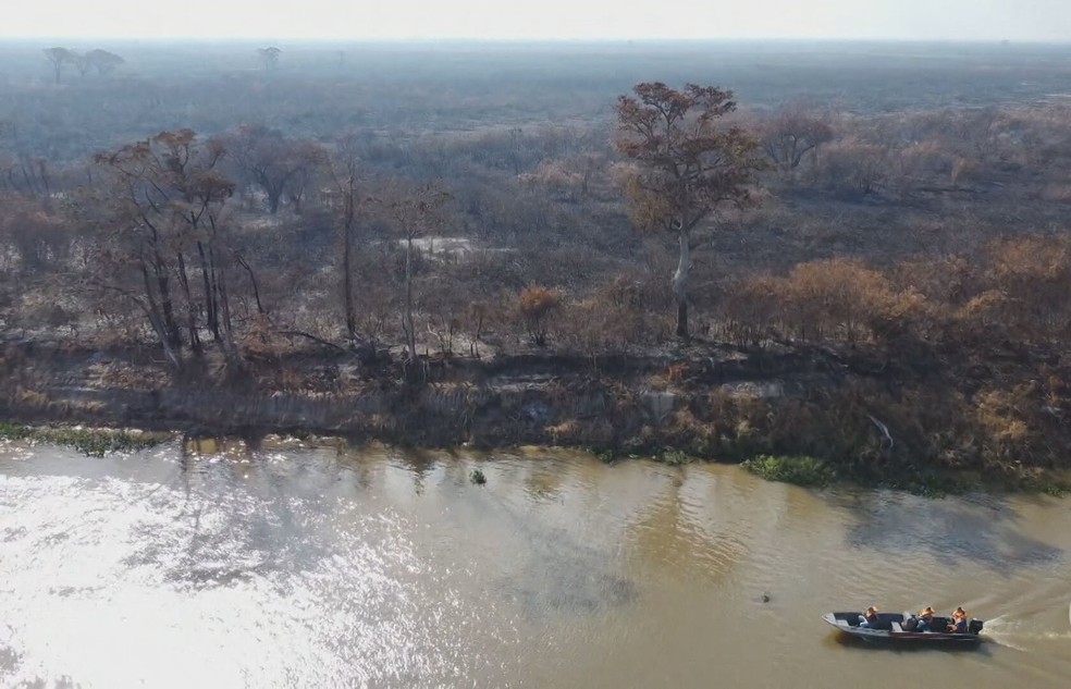 Incêndios no Pantanal prejudicam o ecoturismo da região — Foto: Reprodução/TV Globo
