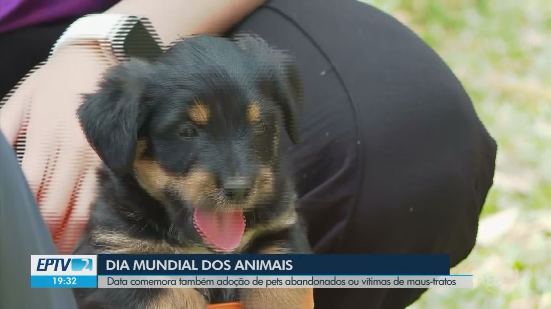 VÍDEOS: EPTV 2 Sul de Minas de sábado, 4 de outubro de 2025