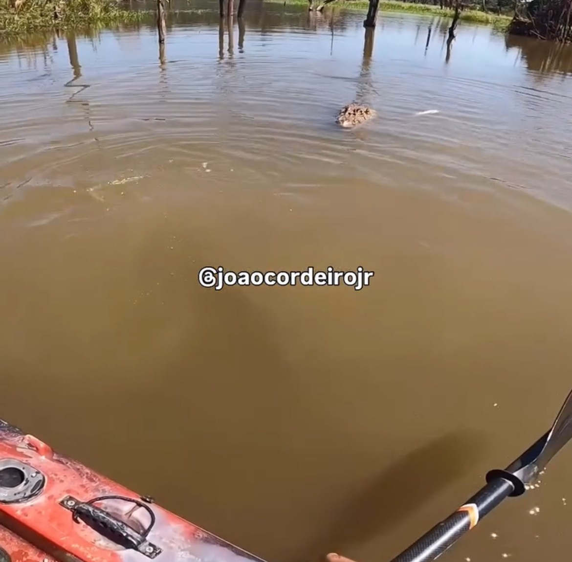 Você Não Tá Convidada pro Meu Bat Mitzvá!