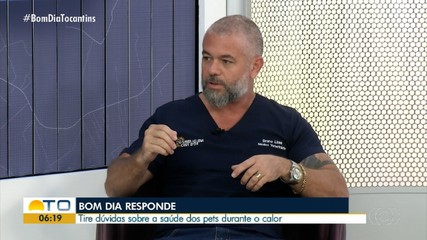 Bom Dia Responde: veterinário aconselha a como cuidar dos pets durante o calor