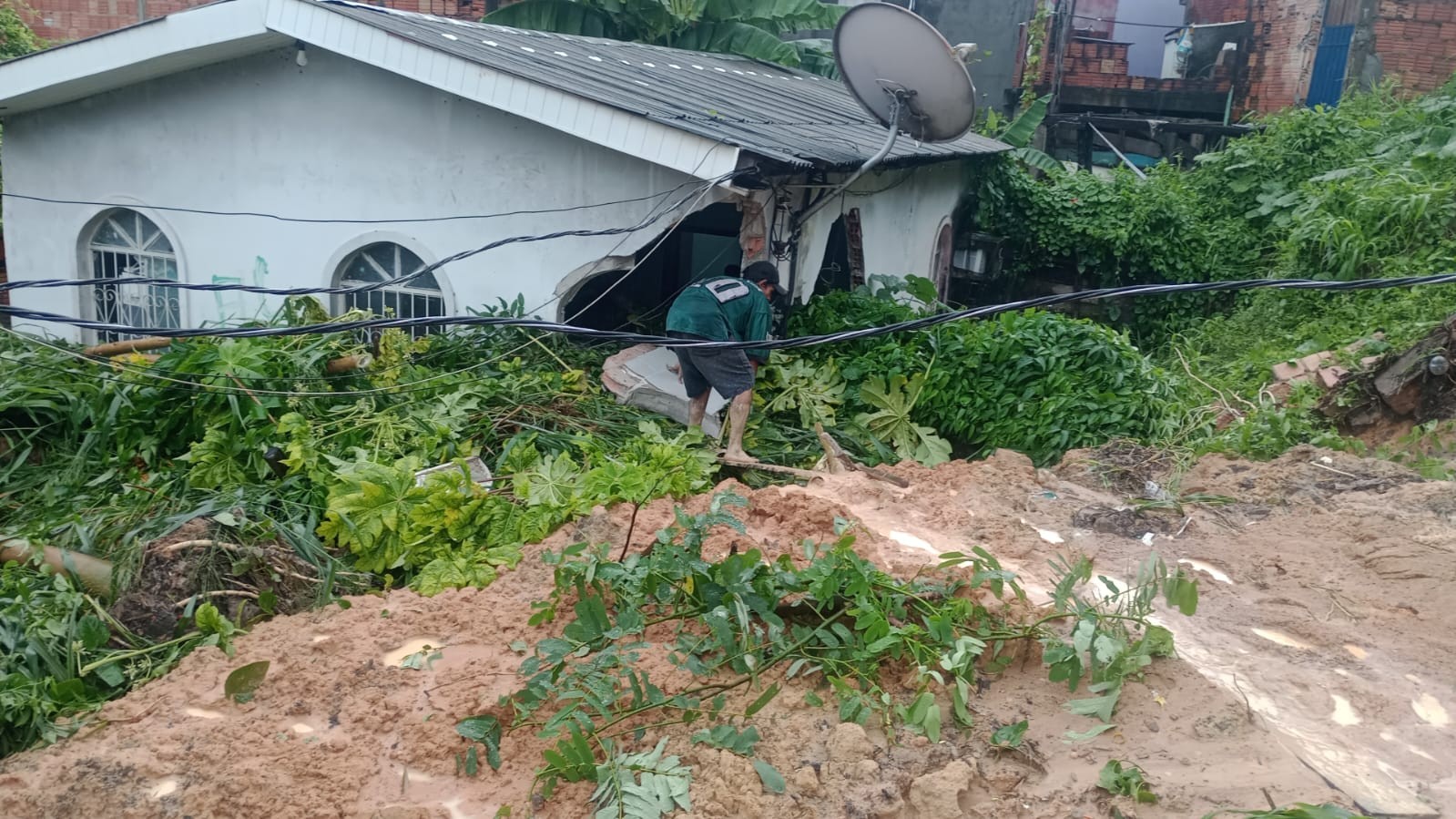 Cachorra é resgatada viva após deslizamento de barranco na Zona Sul de Manaus