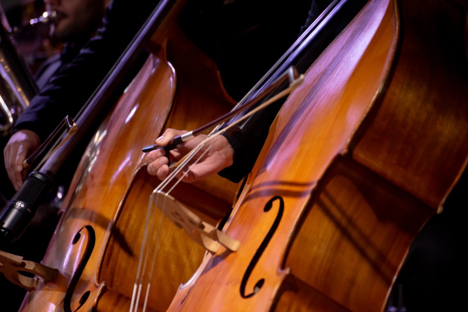 Frio, calor e mudanças bruscas de temperatura podem danificar instrumentos musicais, alertam especialistas