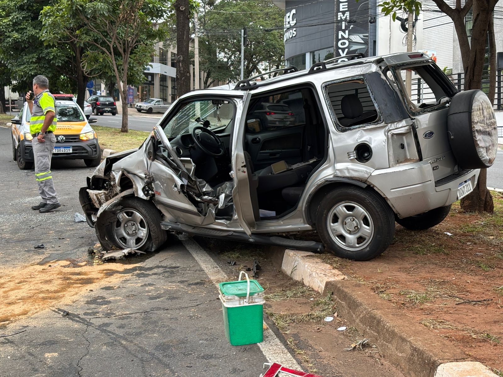 Motorista fica ferida após carro bater em árvore em avenida de Campinas