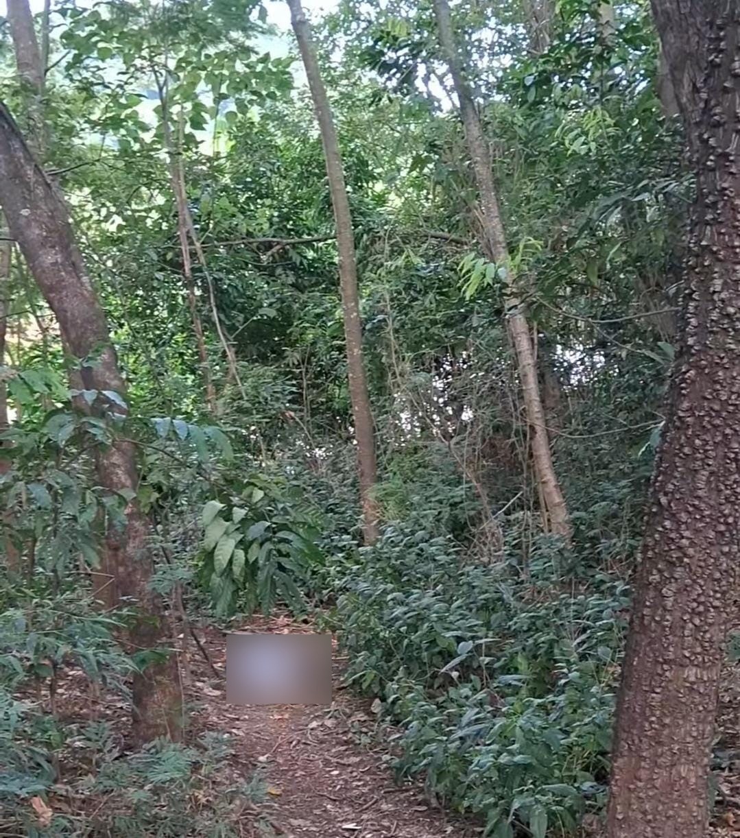 Jovem é encontrado morto com marcas de tiros às margens do rio Piracicaba, em Coronel Fabriciano