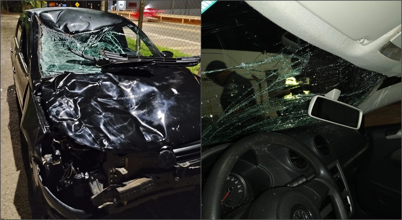Casal sai ileso após carro atropelar boi em rodovia de Itapeva; veículo ficou destruído