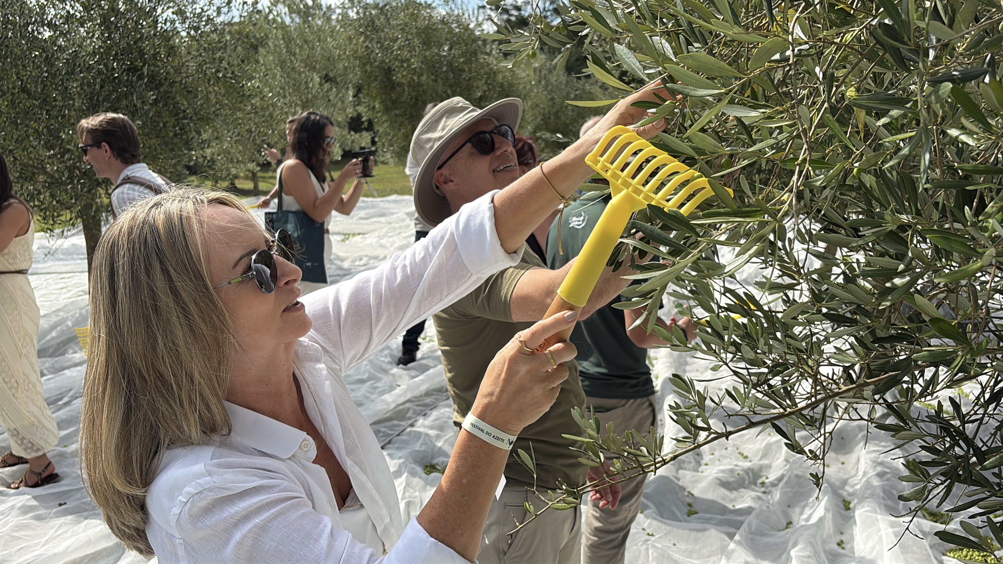 Azeites de oliva sabor bergamota até trufas negras: festival em Gramado traz experiência de sabores inusitados
