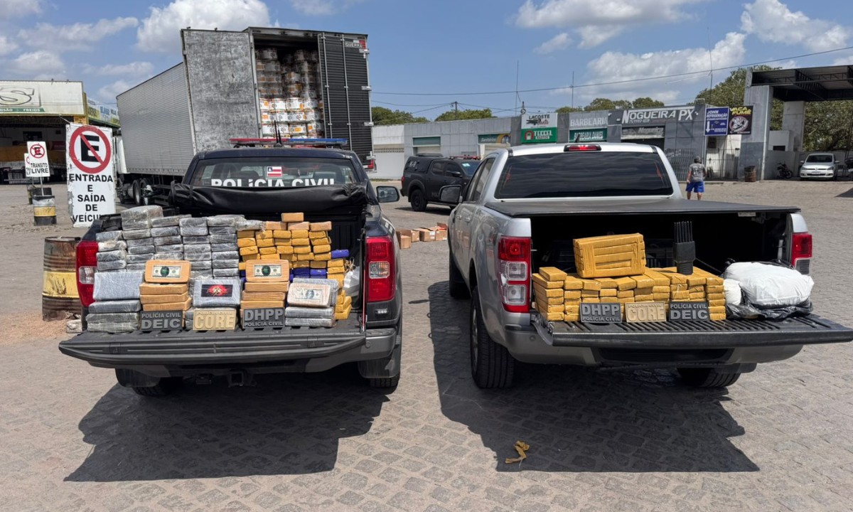Homem é preso em flagrante com mais de 200 kg de drogas durante operação no interior da Bahia