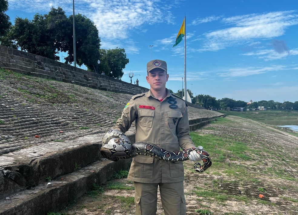 Jiboia de 2 metros encontrada na escadaria da Gameleira é resgatada em Rio Branco — Foto: Arquivo/Corpo de Bombeiros