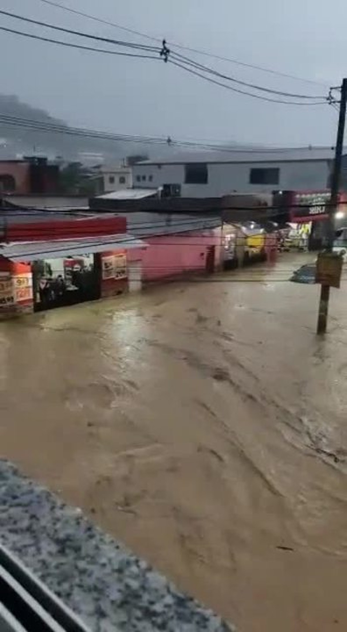 Pegue o pombo: moradores de BH estão perplexos com ave cor-de-rosa -  Notícias - R7 Minas Gerais