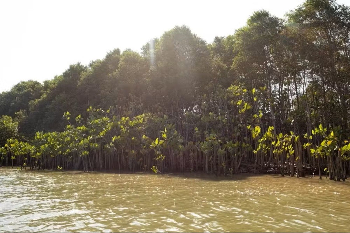 Corpo é encontrado preso a raízes de árvores no Rio Parnaíba, no litoral do Piauí