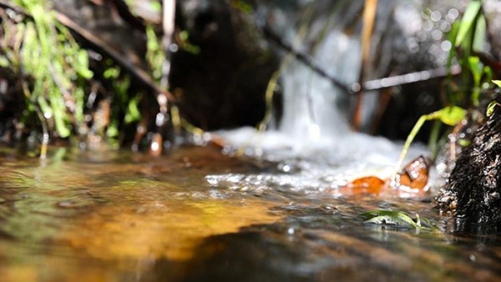 Recuperação de mananciais deve ser priorizada para reestabelecimento de rios. — Foto: Famasul/Reprodução