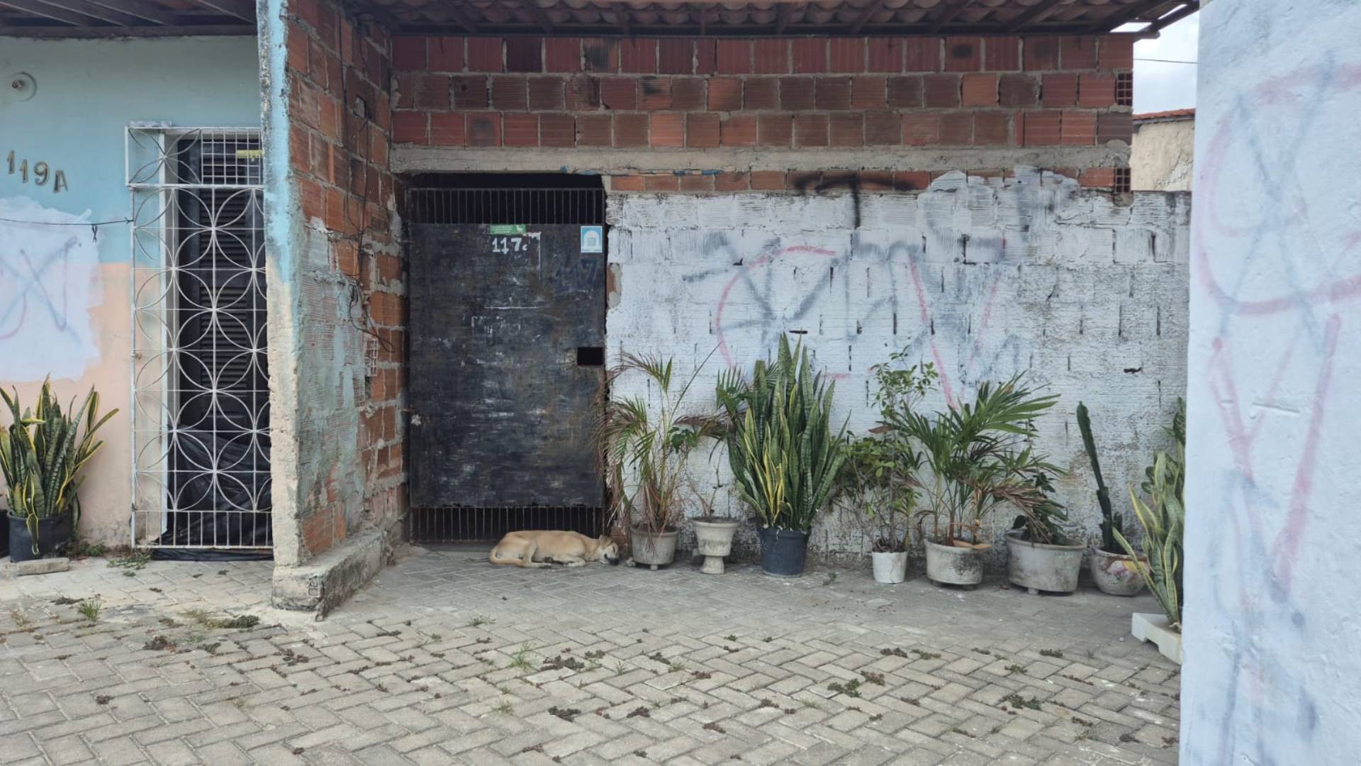 O poder das facções no Nordeste - O Assunto #1591