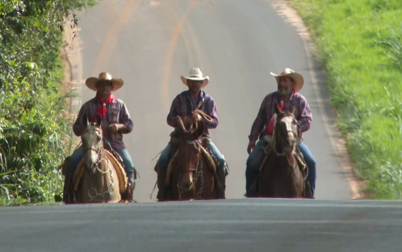 Você Não Tá Convidada pro Meu Bat Mitzvá!
