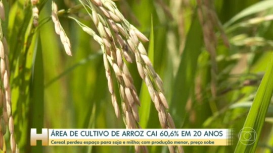 Lula diz que governo 'deu uma vacilada' por não ter importado arroz mais barato da Venezuela - Programa: Jornal Hoje 
