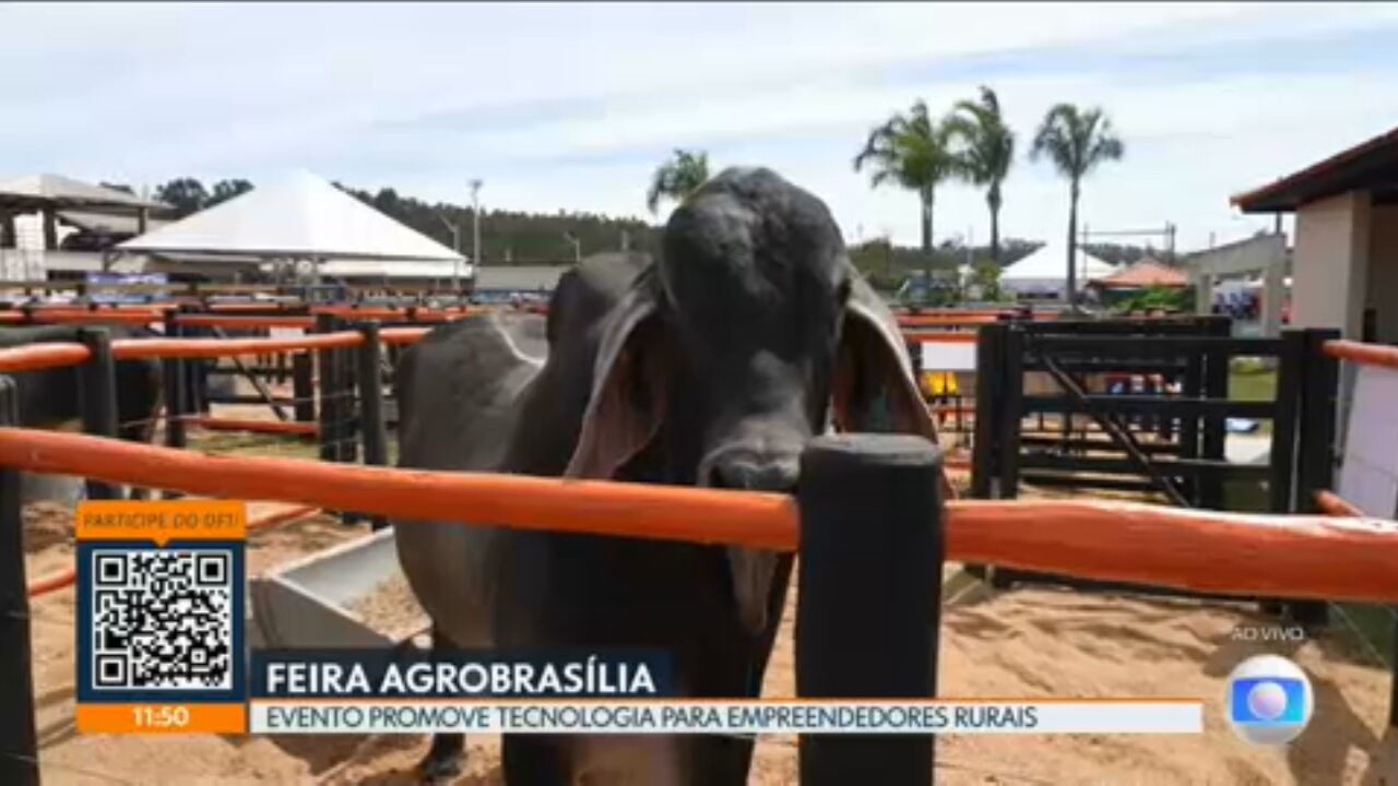VÍDEOS: DF1 de terça-feira, 19 de maio de 2026