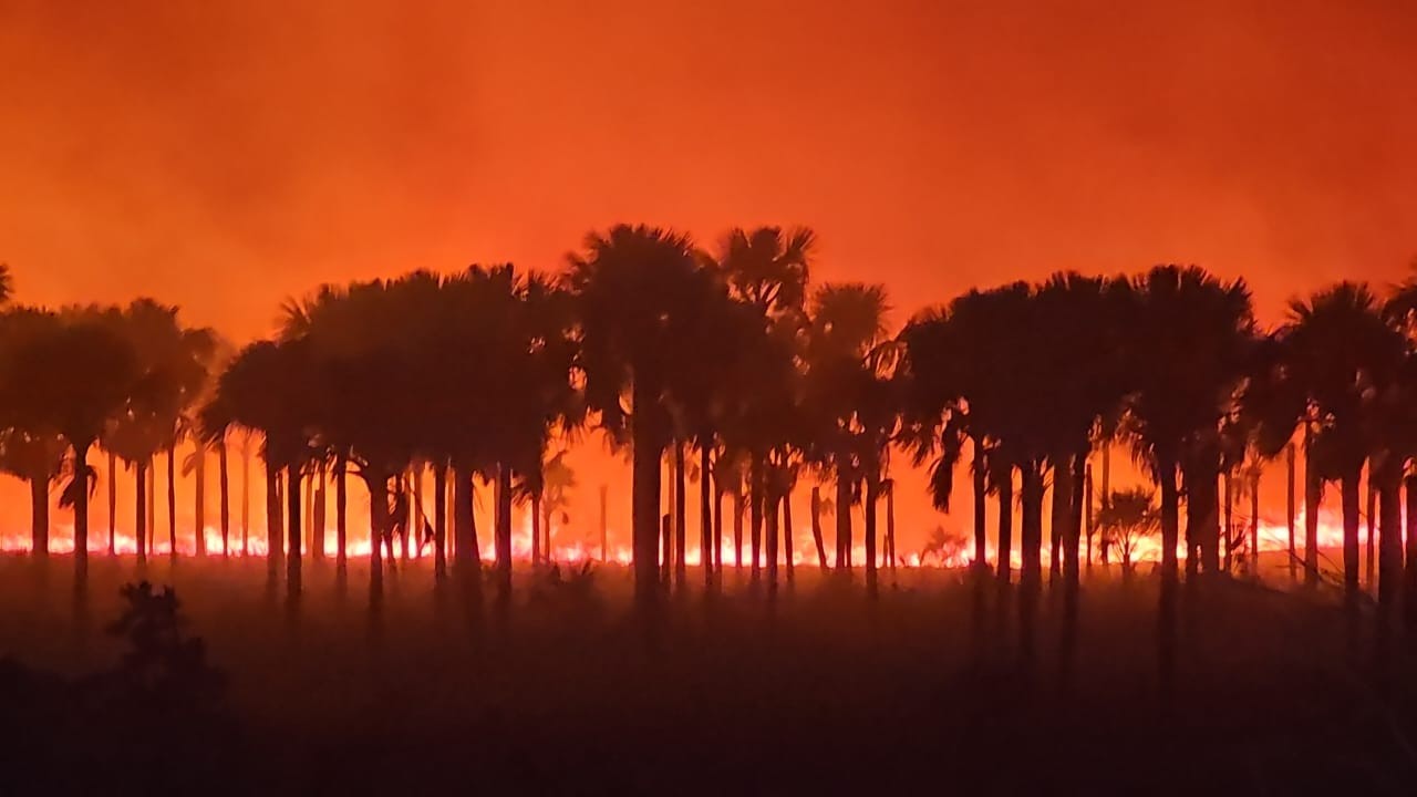 VÍDEO: Incêndio atinge área de preservação próxima ao Clube Caça e Pesca, em Uberlândia