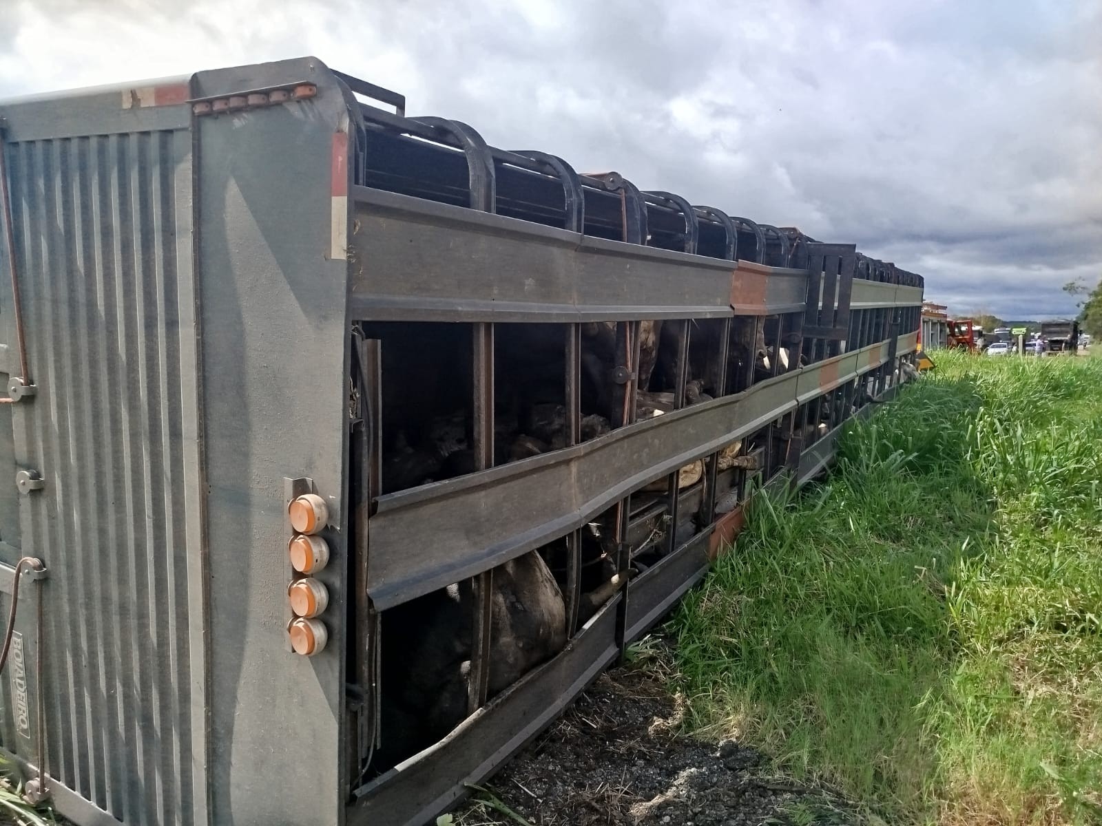 Motorista morre e passageira fica ferida após caminhão de gado tombar na MG-050, em Divinópolis