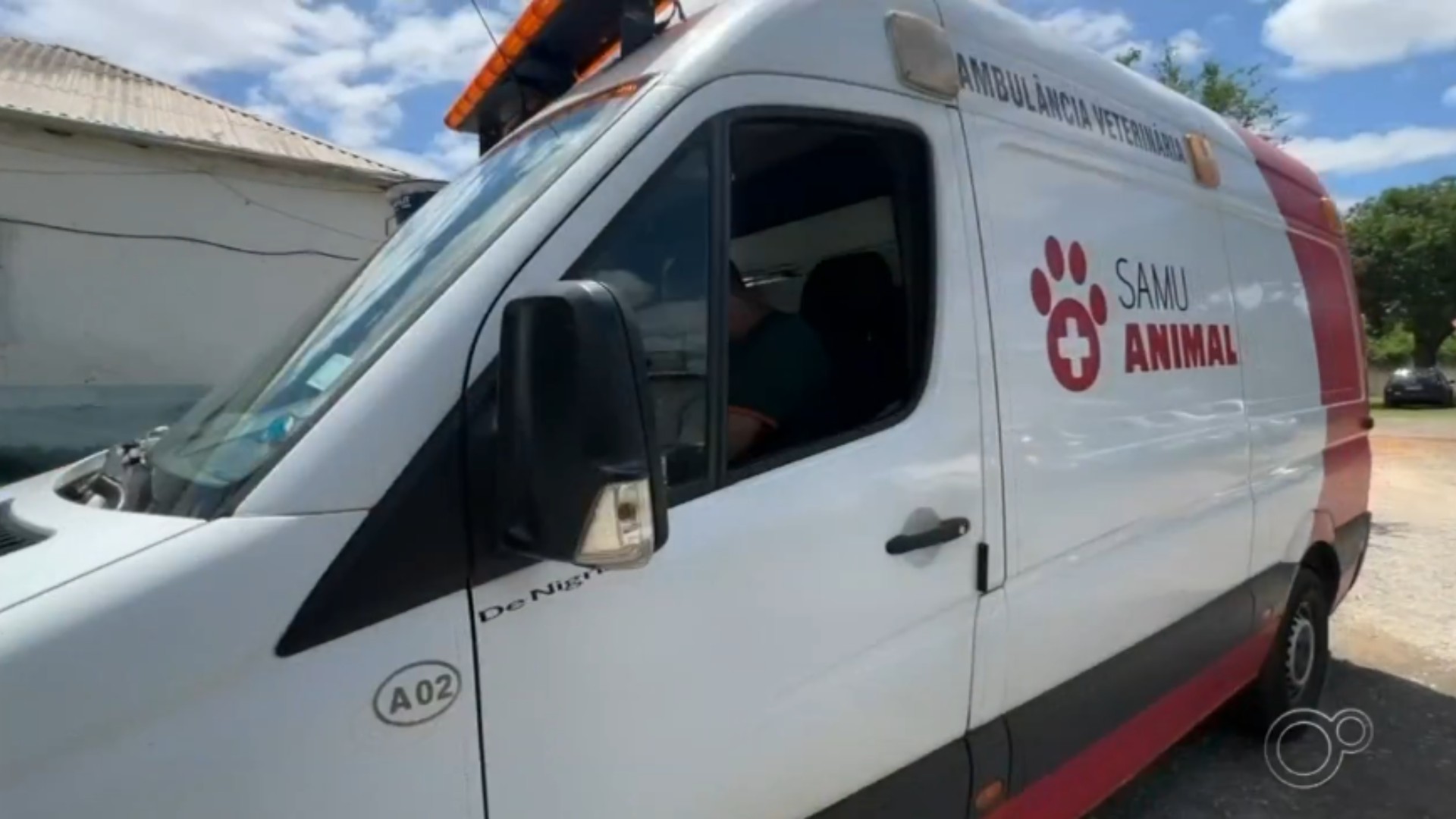 Samu Animal realiza mais de 3 mil atendimentos a cães e gatos em Sorocaba desde 2021