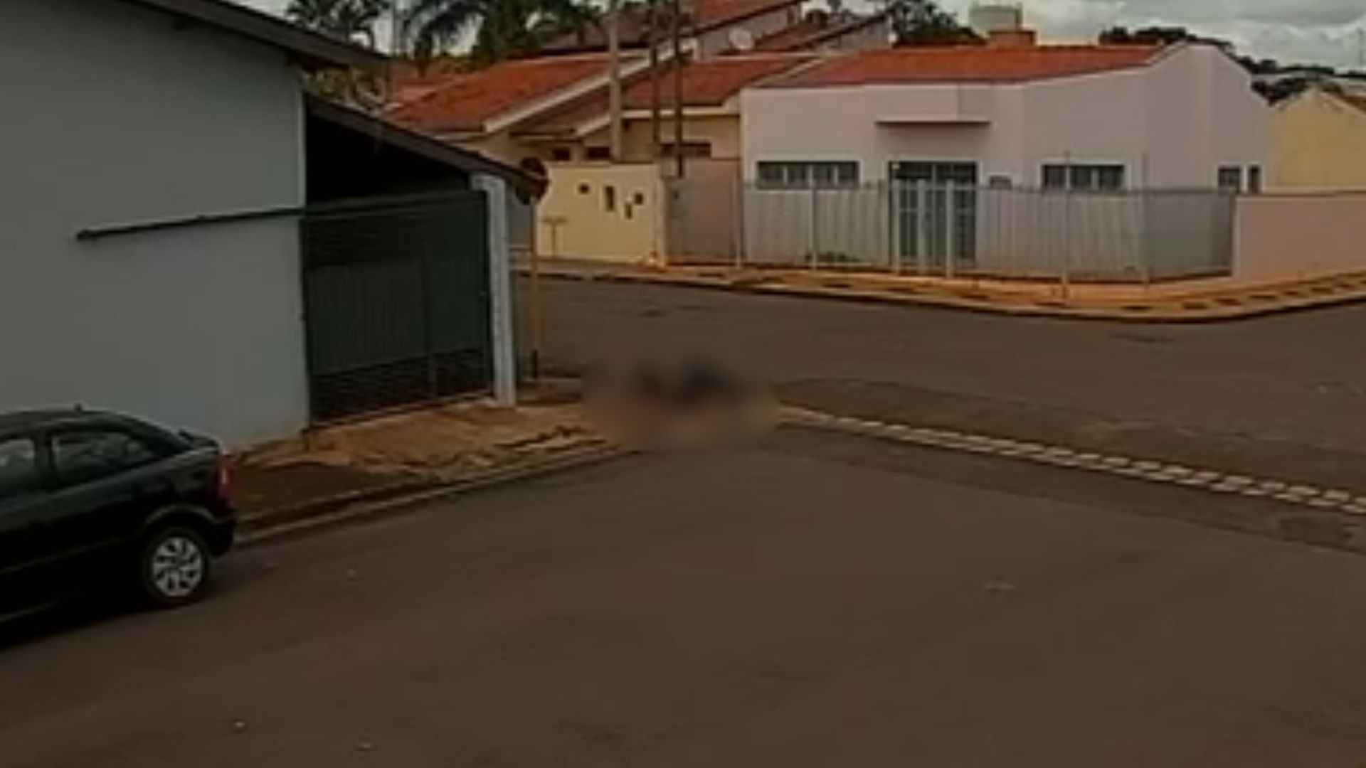 VÍDEO: pit bull solto na rua ataca e derruba mulher em Lençóis Paulista