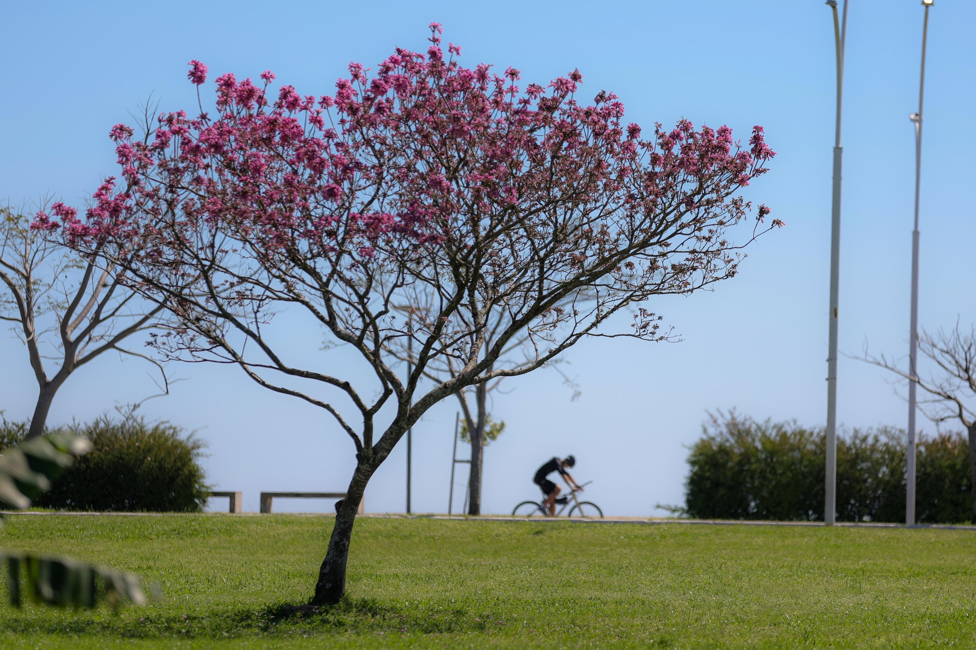 Sol e frio chegam ao RS após fim de instabilidade; confira tendência para a primavera no estado