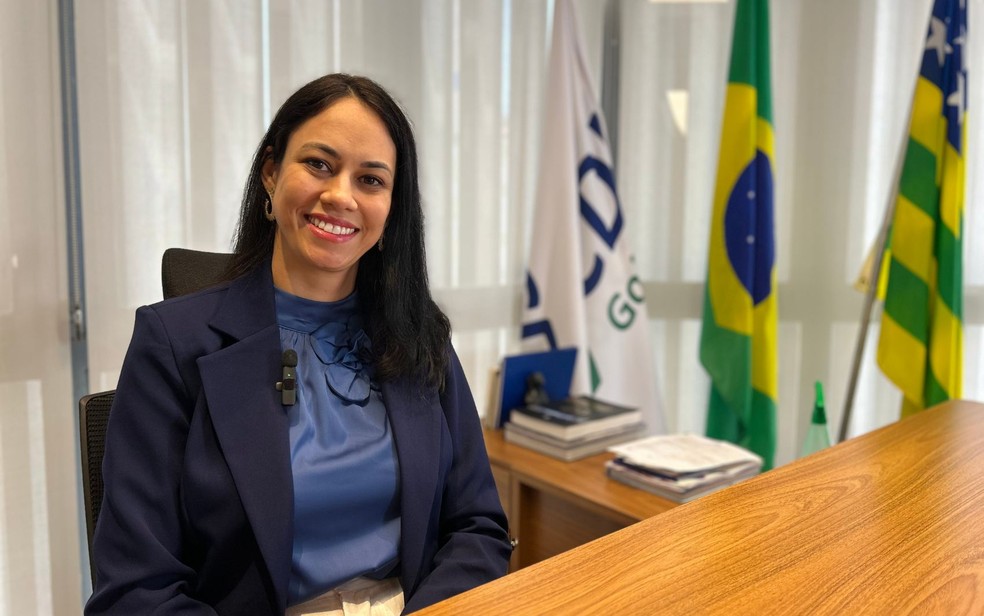 Hélia Gonçalves, superintendente executiva da Câmara de Dirigentes Lojistas (CDL) de Goiânia, Goiás — Foto: Michel Gomes/g1 Goiás