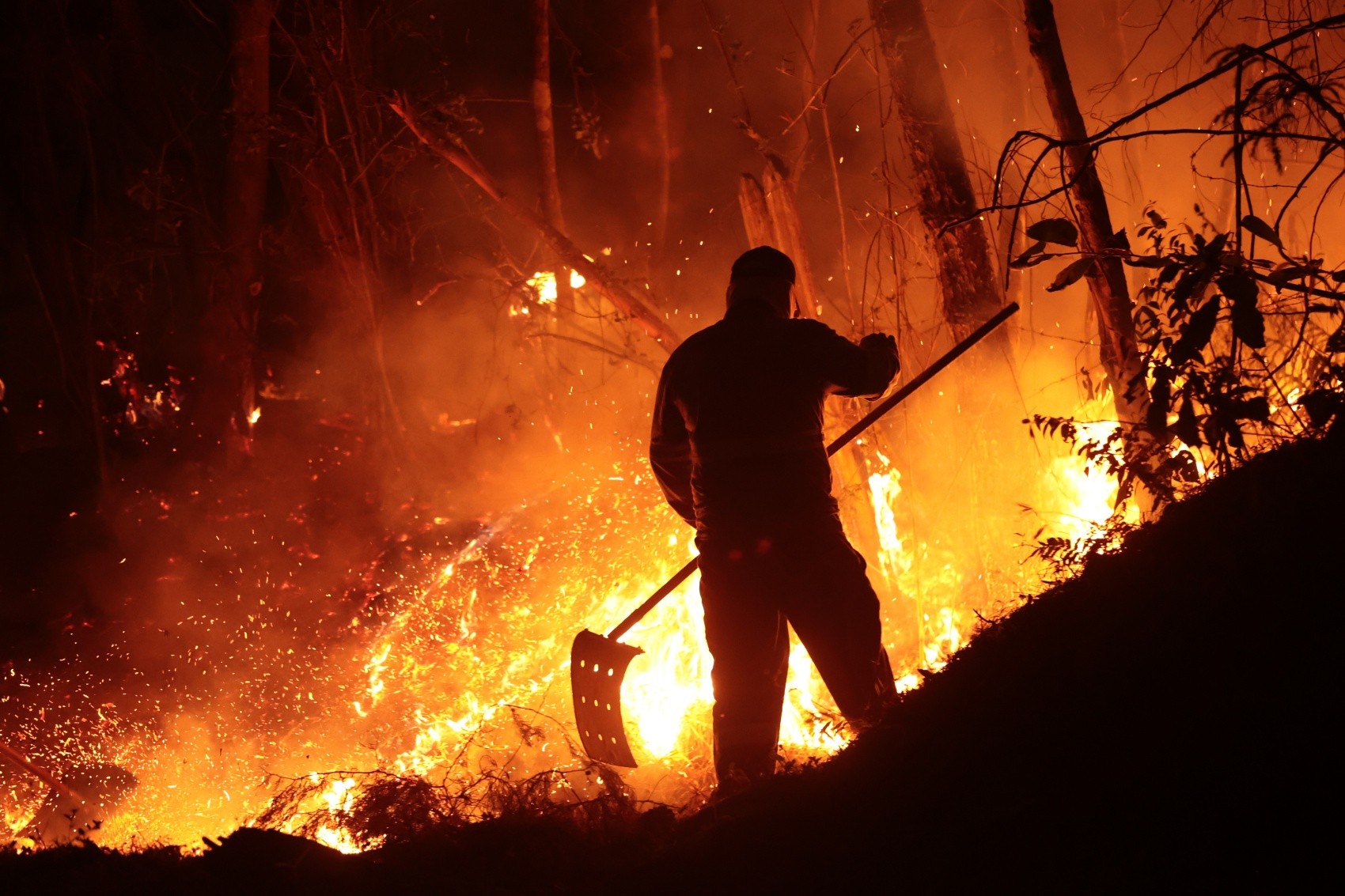 Bombeiros de Minas usam técnicas aplicadas em Brumadinho e Mariana para combater incêndios no estado