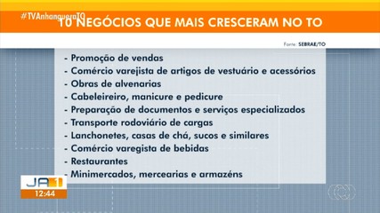 Tocantins registra mais de 12 mil novos negócios em 2024