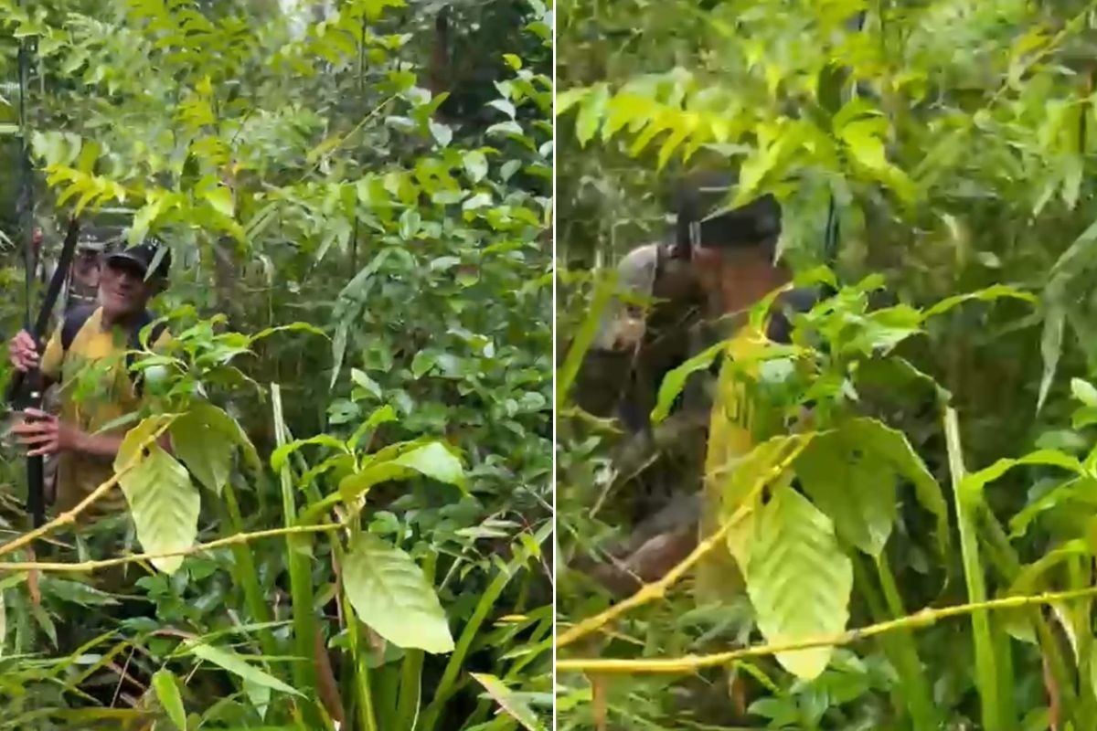 Idosos somem por mais de um dia após pescaria e são resgatados em área de mata no litoral de SP; VÍDEO