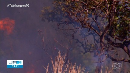 Fogo destrói área verde em Palmas