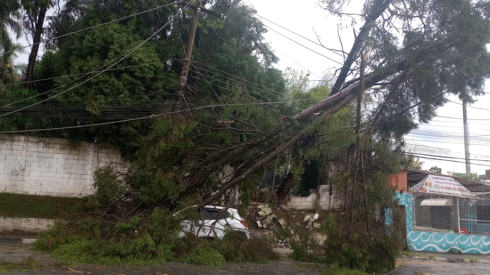 Árvore derruba fiação de alta tensão e atinge carro de aplicativo em Suzano