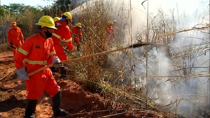 Com chegada da estiagem, Bombeiros formam brigadas para combater focos de incêndio TO