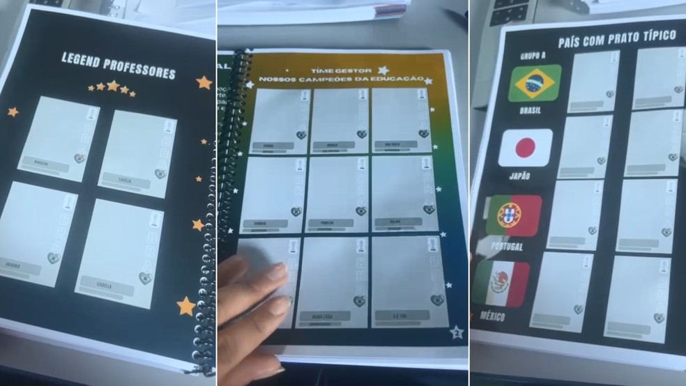 Professora de escola pública do DF cria álbum de figurinhas para alunos de classe especial — Foto: arquivo pessoal