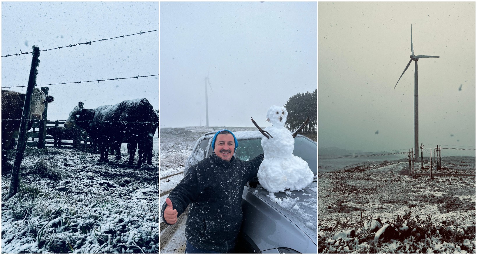 'Coisa única' e 'inexplicável': neve pinta a Serra de SC de branco e inspira criação de boneco 