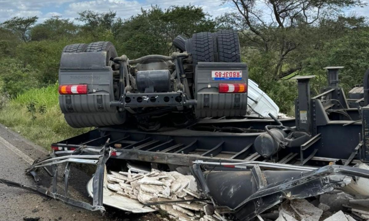 Motorista perde controle de carreta após ser picado por abelhas em estrada da Bahia