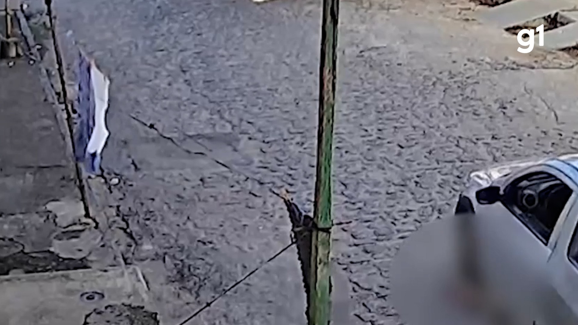 Homem é indiciado por matar cachorro atropelado em Campina Grande