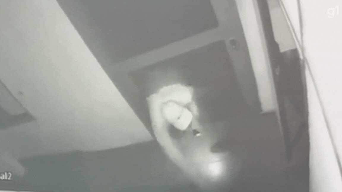 VÍDEO: homem quebra porta e furta joalheria na Asa Sul, em Brasília