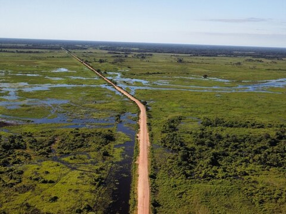 Transpantaneira, no Pantanal mato-grossense — Foto: Divulgação