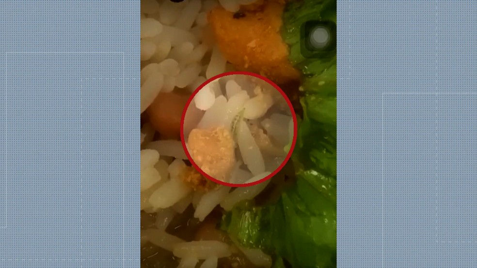 Vídeo mostra larvas em salgado de padaria em Uberaba; criança reclamou de ' bichinhos' ao comer, Triângulo Mineiro