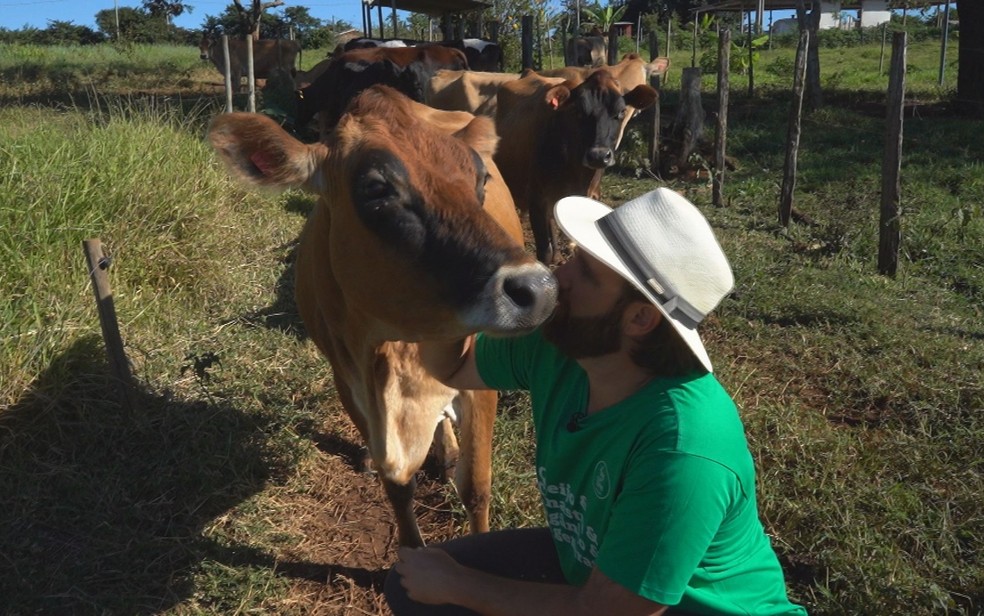 fazenda vinicius 3