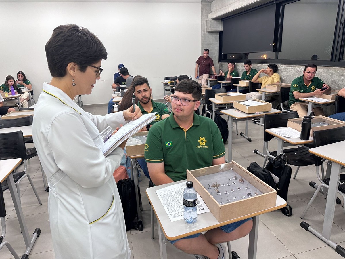 Estudantes de Agronomia criam caixas entomológicas para pesquisar ...