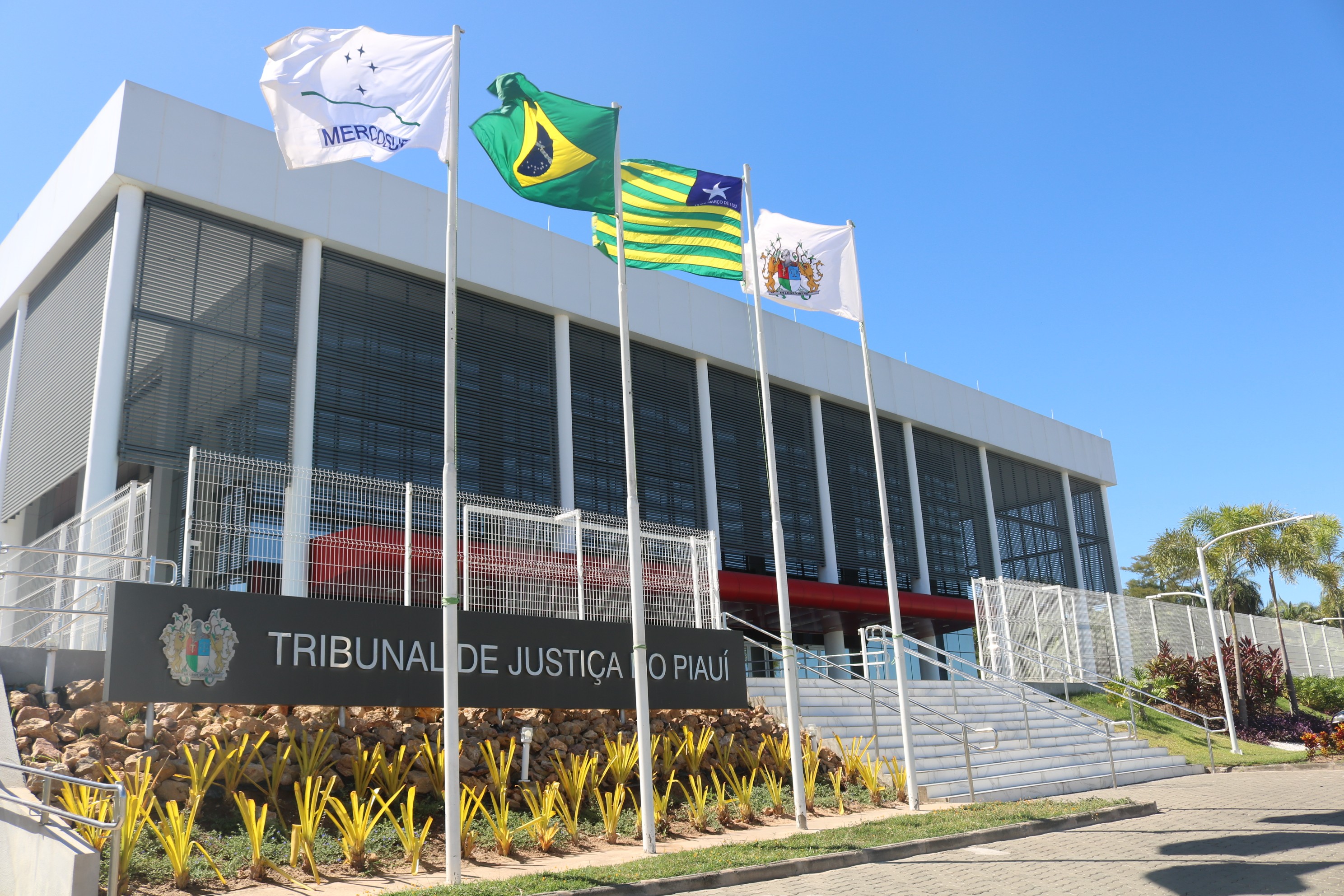 Juiz determina investigação por suspeita de fraude no sistema de processos do TJPI para liberar veículos apreendidos