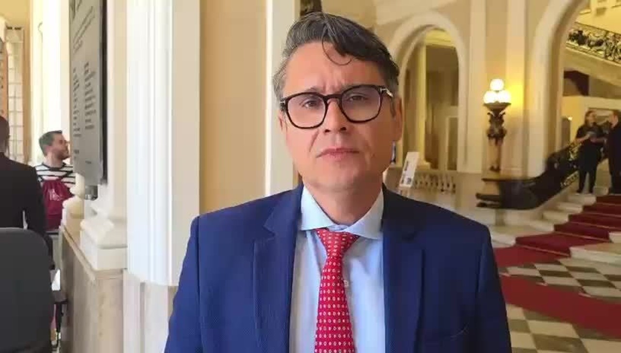 Cachorro comunitário é baleado em rua de Guaratiba, na Zona Oeste do Rio