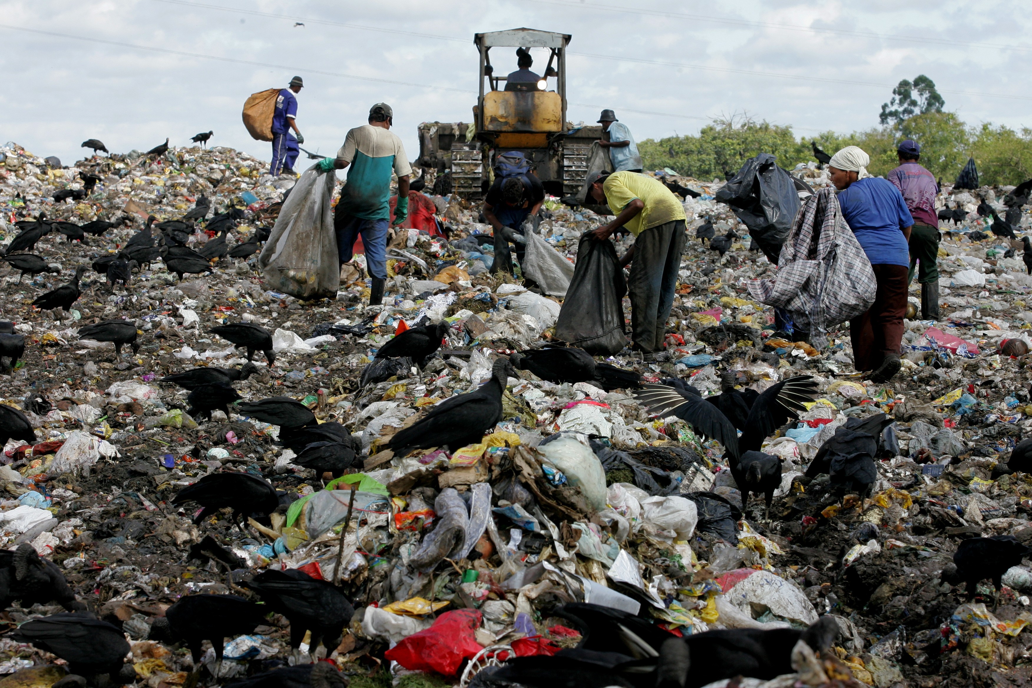 O paradoxo da reciclagem no Brasil: por que os trabalhadores que mais contribuem são os que mais sofrem?