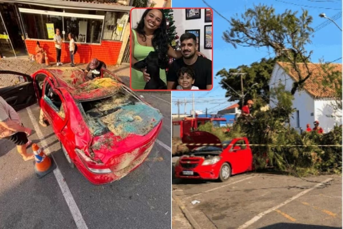 Carro esmagado por árvore com homem e criança deu 'perda total' e era usado no trabalho da família; entenda