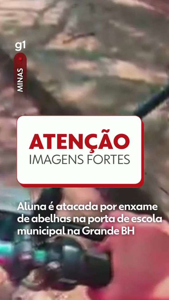 Aluna é atacada por enxame de abelhas na porta de escola municipal na Grande BH